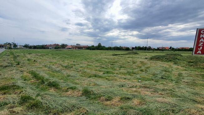 Polkowice sprzedam działkę inwestycyjną 74a
