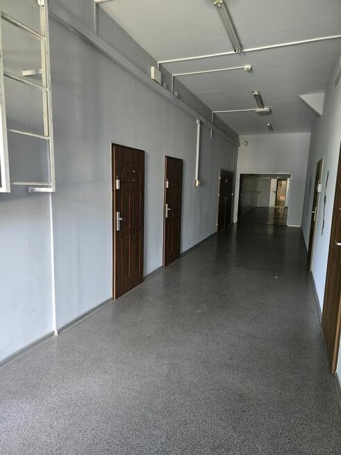 Wynajmę pomieszczenia