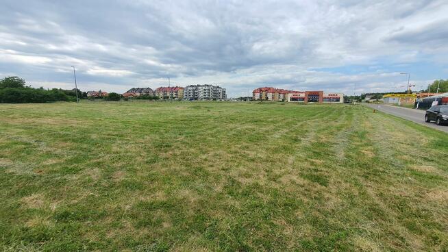 Polkowice sprzedam działkę inwestycyjną 74a