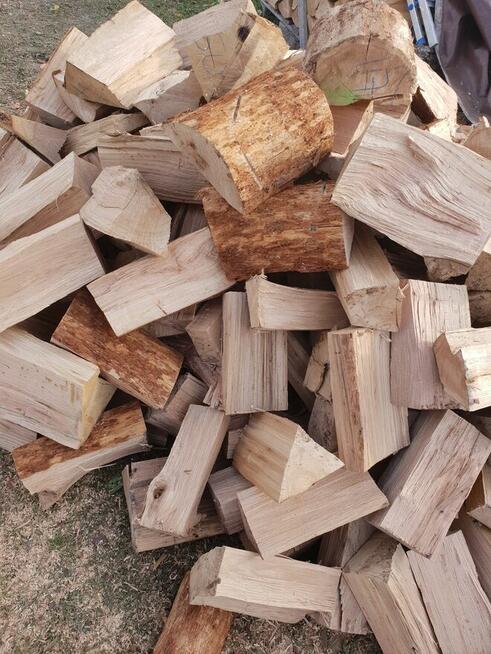 Sprzedaż Drewna kominkowego oraz opałowego.