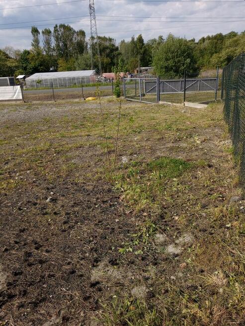 Rybnik -Działka - wynajem