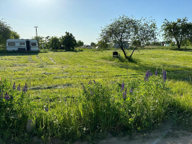 Działka ROD w Łobżenicy 510m2