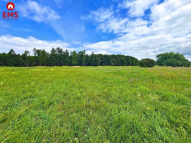 Działka budowlana Harsz gm. Pozezdrze