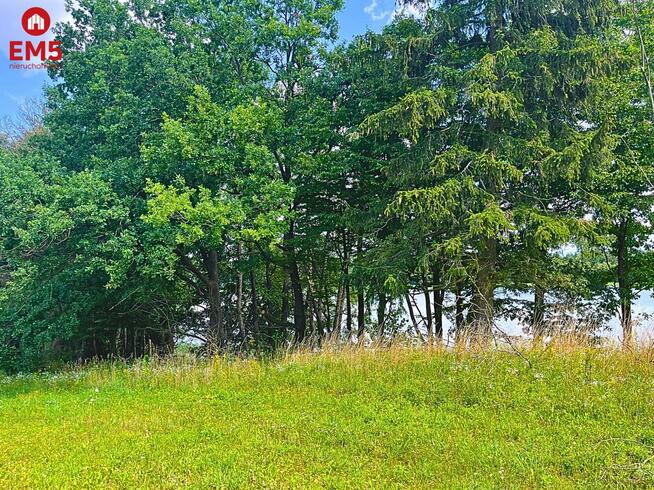 Działka budowlana Dąbrówno