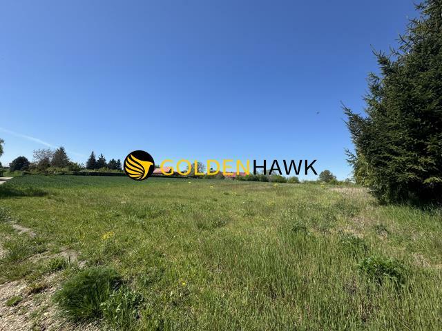 Działka rekreacyjna Załęże gm. Kozielice