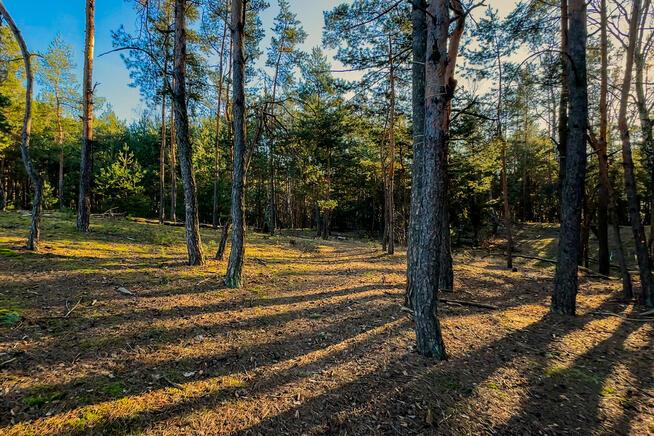 ✅Zobacz&gt;&gt;&gt;Wyjątkowa działka z niezwykłym widokiem✅