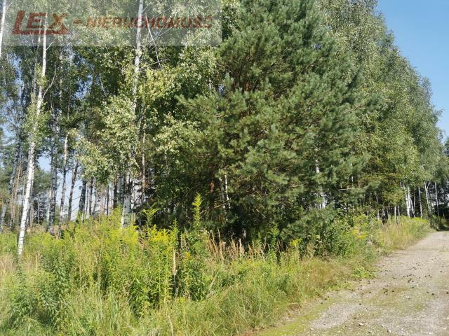 Działka budowlana Grabowa gm. Łazy