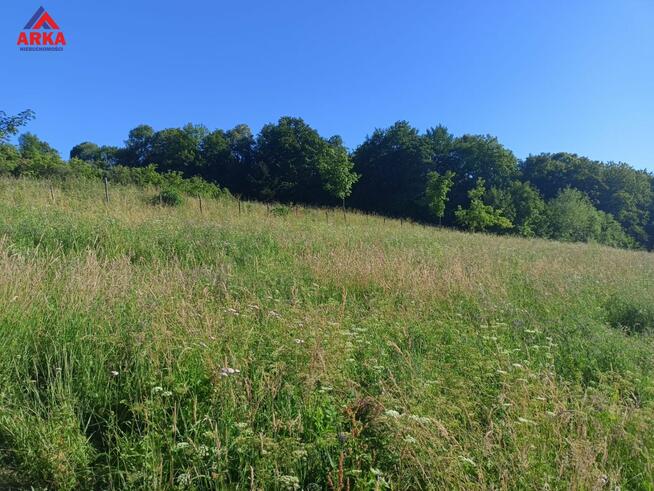 Działka rolna Sadek gm. Jodłownik