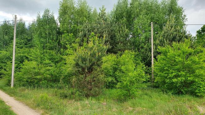 Działka budowlana Lipowo gm. Wiązowna