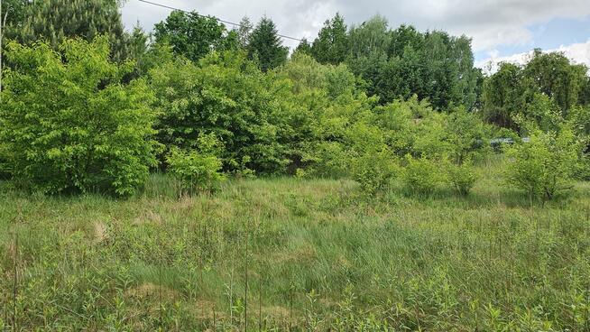 Działka budowlana Lipowo gm. Wiązowna