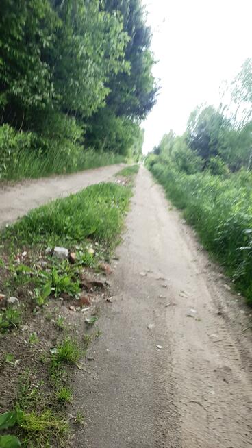 Działka budowlana Lipowo gm. Wiązowna