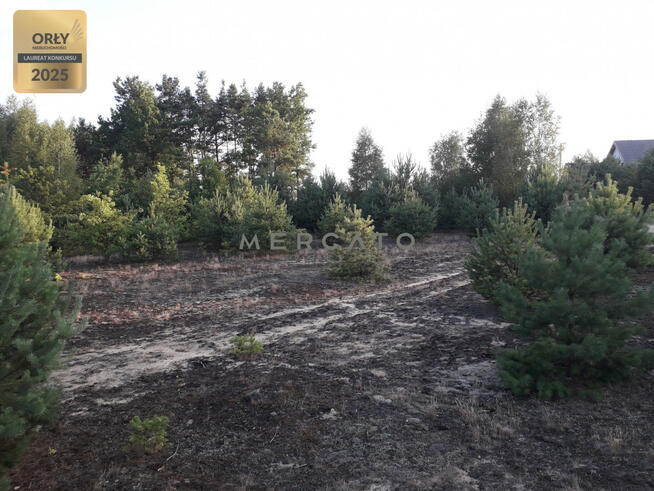 Działka budowlana Pupkowizna gm. Łyse,