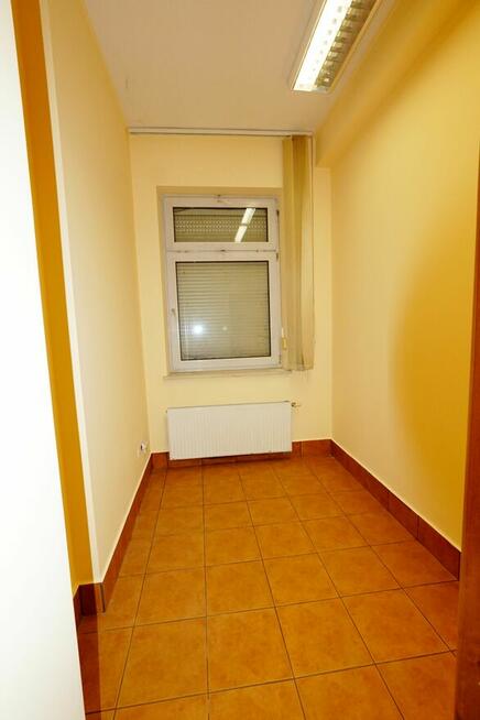 rewelacyjna lokalizacja/wiele możliwości