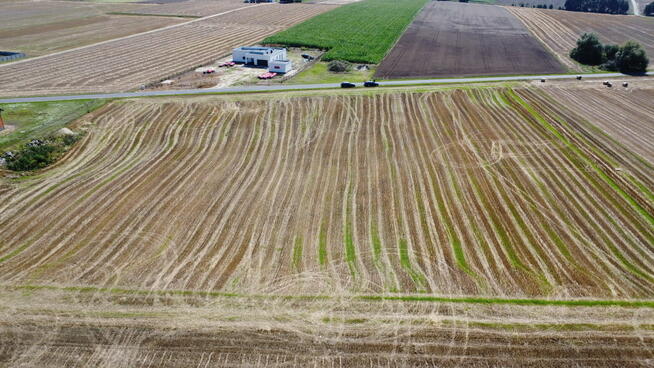 Dziedzice, gmina Lądek 2,61H ROLNA Z PRZEZNACZENIEM INWESTYC