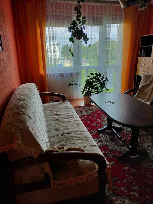 Wynajmę mieszkanie Pomorzany