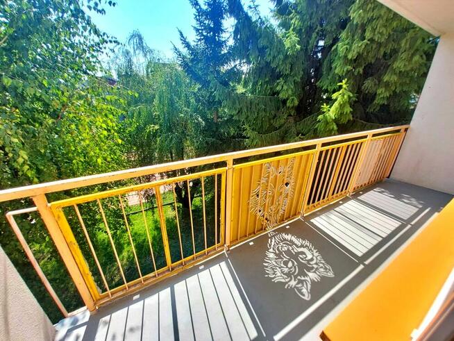 Mieszkania / Wynajem2-pokojowe mieszkanie na wynajem – os. B