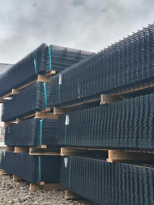 Ogrodzenie Panelowe 3D