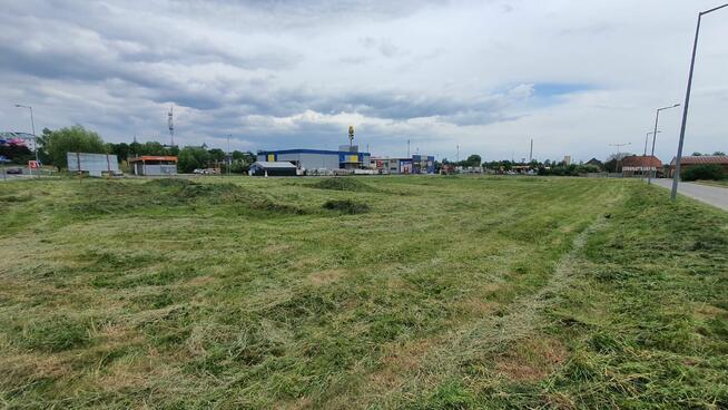 Polkowice sprzedam działkę inwestycyjną 74a