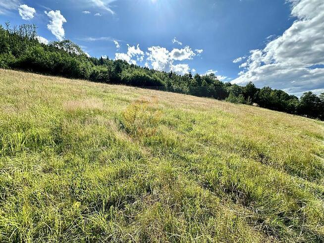 117G Królowa Górna gmina Kamionka Wielka, działka budowalna,