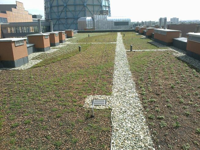 SYSTEMY NAWADNIANIA/OBSŁUGA/SERWIS/ MONTAŻ/USŁUGI OGRODNICZE