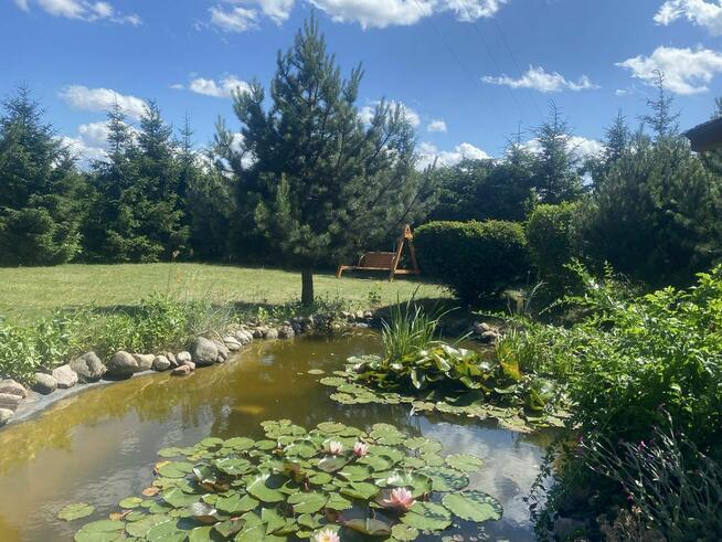 Domek letniskowy na Kaszubach do wynajęcia