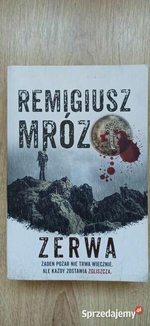 Zerwa - Remigiusz Mróz