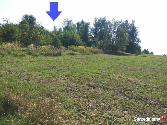 Duże działki budowlane na inwestycję, obrzeża Raciborza