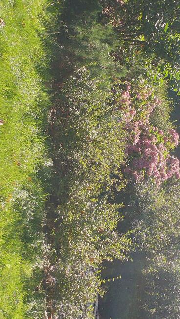 PILNIE Sprzedam Działkę Rekreacyjną