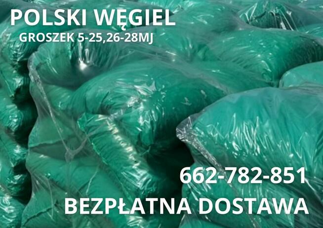 POLSKI WĘGIEL Groszek (5-25) 26-28MJ - PRZYSUCHA I OKOLICE !
