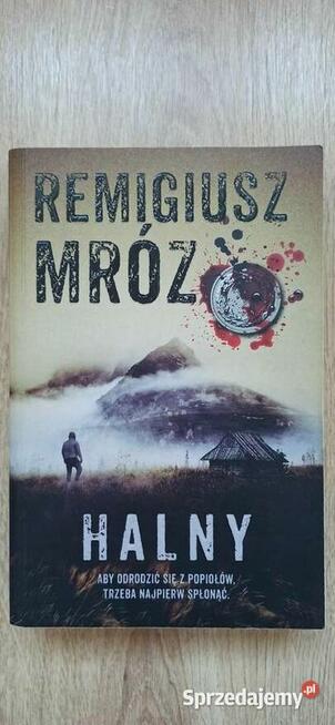 Halny - Remigiusz Mróz