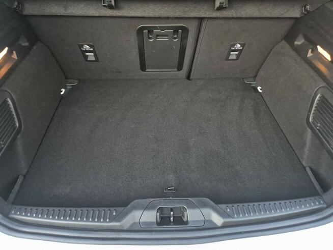 Focus ST LINE 1.5 benzyna 182km skóra LED asist NAVI hud SERWIS 2019