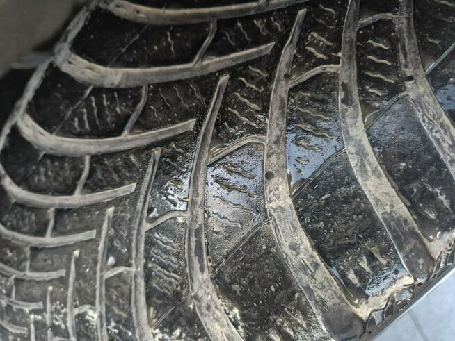 Focus ST LINE 1.5 benzyna 182km skóra LED asist NAVI hud SERWIS 2019