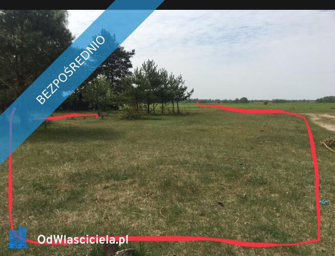 Działka na sprzedaż: Czarnów