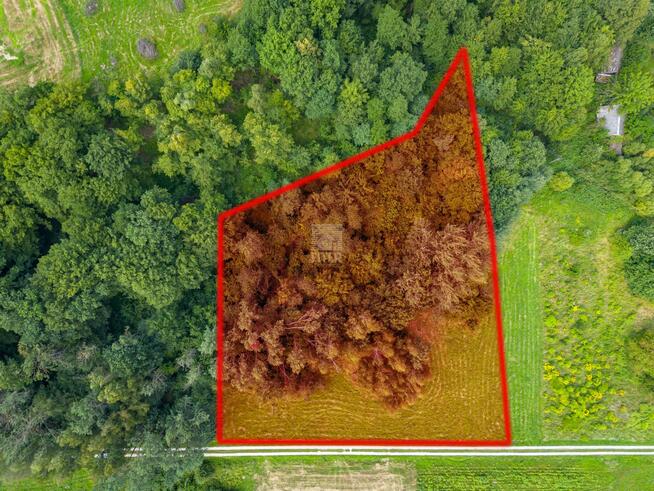 Działka siedliskowa Chronów gm. Nowy Wiśnicz