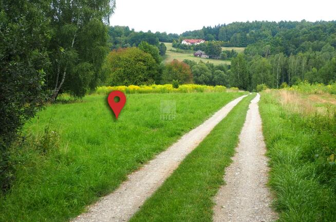 Działka siedliskowa Chronów gm. Nowy Wiśnicz