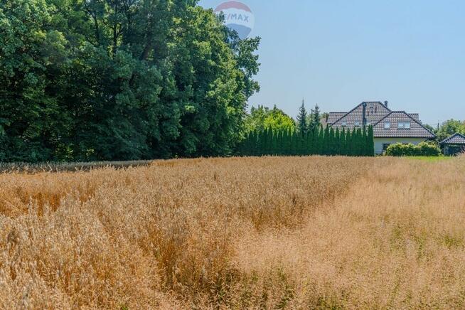 KOMOROWICE ŚLĄSKIE – DZIAŁKA BUDOWLANA