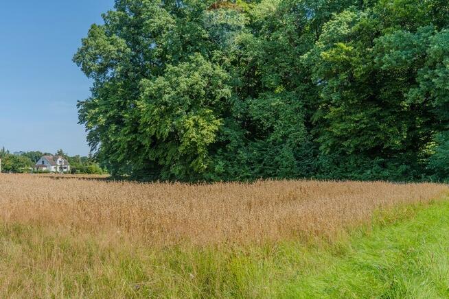 KOMOROWICE ŚLĄSKIE – DZIAŁKA BUDOWLANA