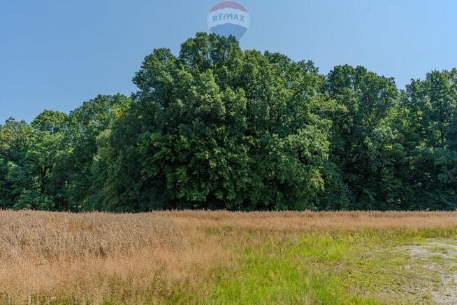 DZIAŁKA BUDOWLANA -KOMOROWICE ŚLĄSKIE