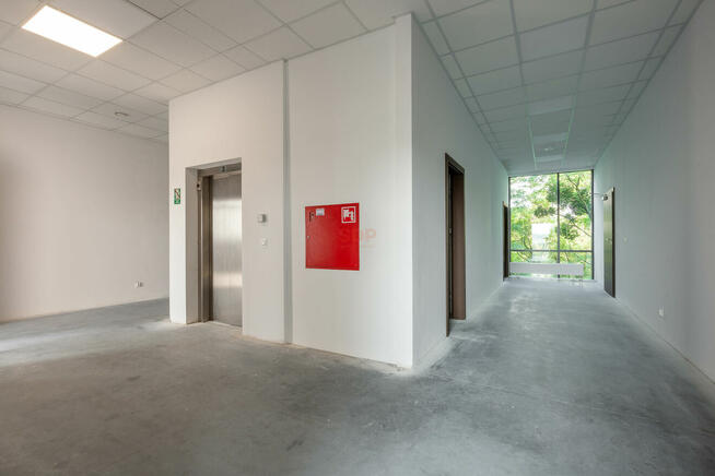 Lokal użytkowy Wrocław Psie Pole, Psie Pole, Kępińska