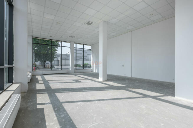 Lokal użytkowy Wrocław Psie Pole, Psie Pole, Kępińska