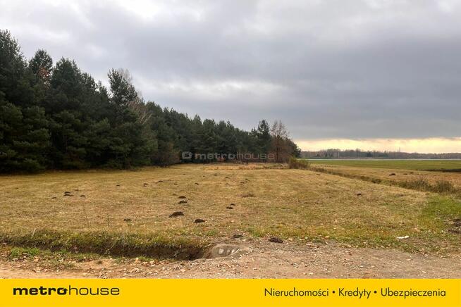 Działka w otulinie lasu na sprzedaż!