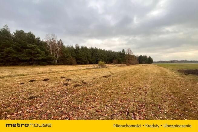 Działka w otulinie lasu na sprzedaż!