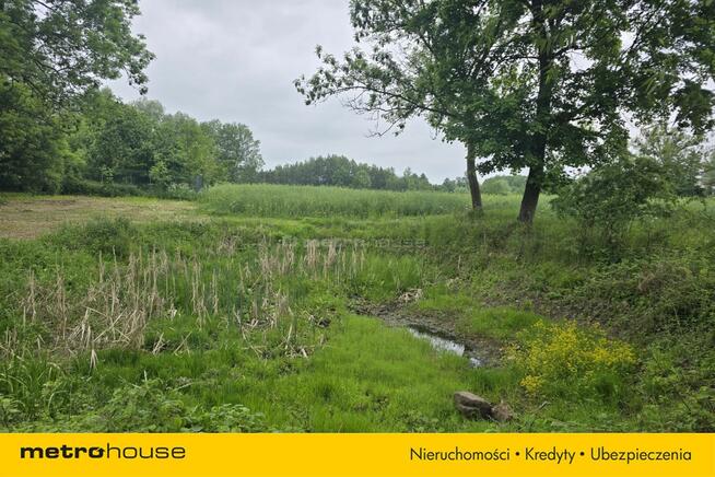 Grunty rolne oraz zabudowania, Rogowo, gm.Lubicz