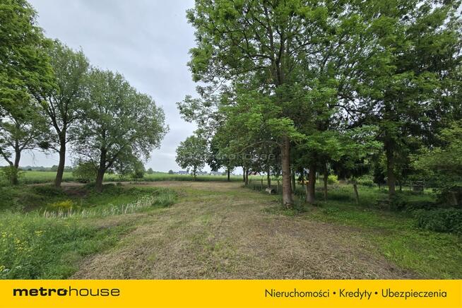 Grunty rolne oraz zabudowania, Rogowo, gm.Lubicz