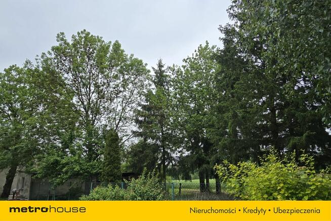 Grunty rolne oraz zabudowania, Rogowo, gm.Lubicz