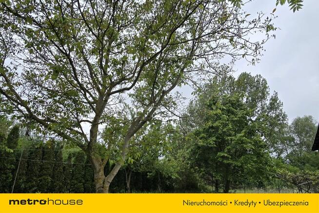 Grunty rolne oraz zabudowania, Rogowo, gm.Lubicz