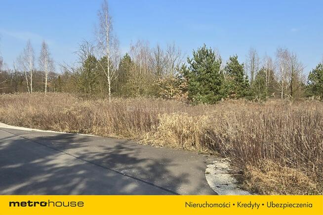 Działka w spokojnej okolicy. Aż 2624 m2