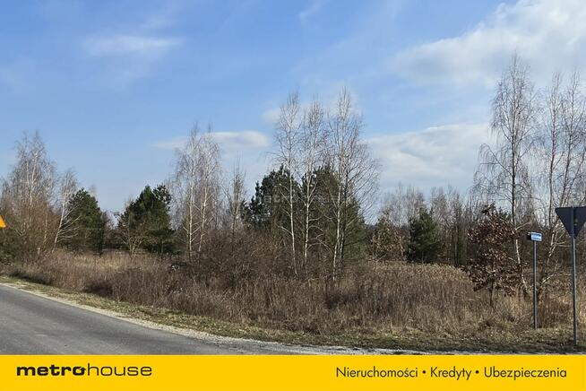 Działka w spokojnej okolicy. Aż 2624 m2