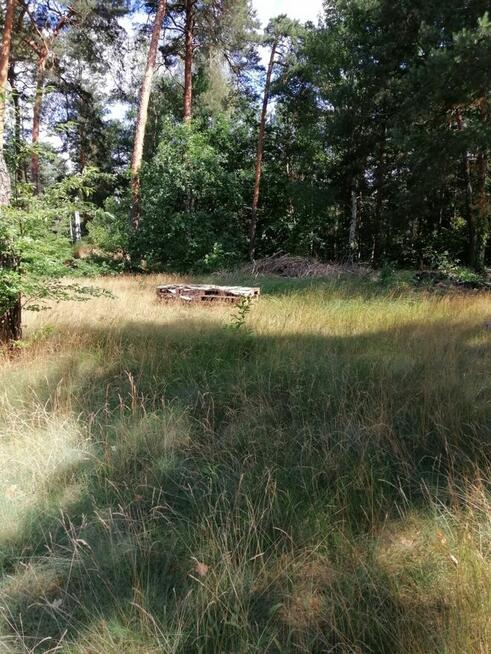 Nieruchomość od Syndyka - Józefów, ul. Wiązowska