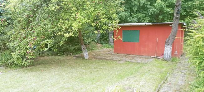 Działka rekreacyjna ROD LUMEL Zielona Góra Centrum